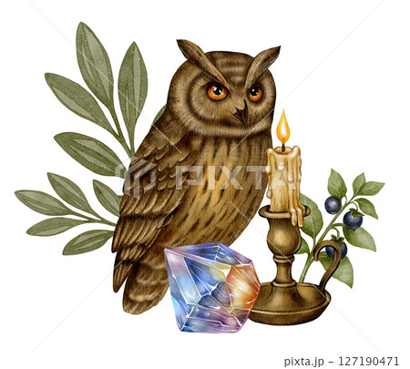 Mystical Owl with Candle and Crystal Mystical Owl with Candle and Crystal 127190471