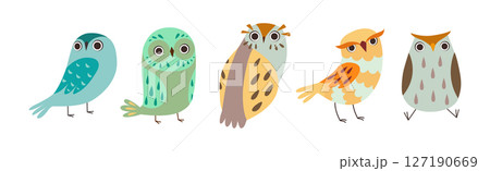 Cute Owl Bird Feathered Flying Animal with Wings Vector Set Cute Owl Bird Feathered Flying Animal with Wings Vector Set 127190669