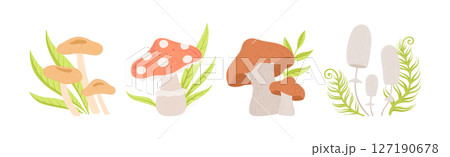Forest Mushroom with Stem Growing in Green Grass Vector Set Forest Mushroom with Stem Growing in Green Grass Vector Set 127190678