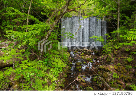 野々入川の新緑風景　美ヶ原　霧ヶ峰 127190786