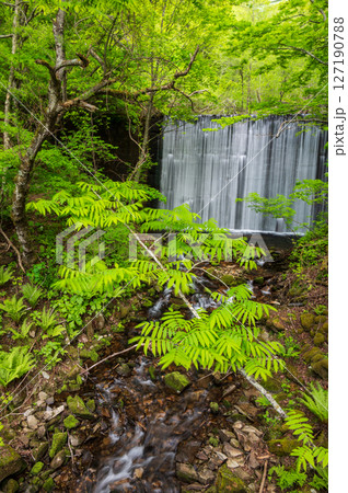 野々入川の新緑風景　美ヶ原　霧ヶ峰 127190788