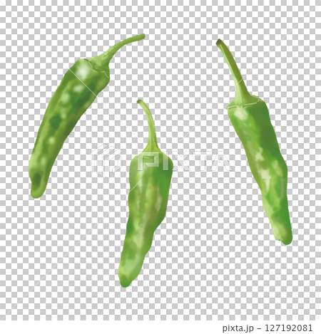 水彩風格新鮮青椒日本蔬菜 127192081