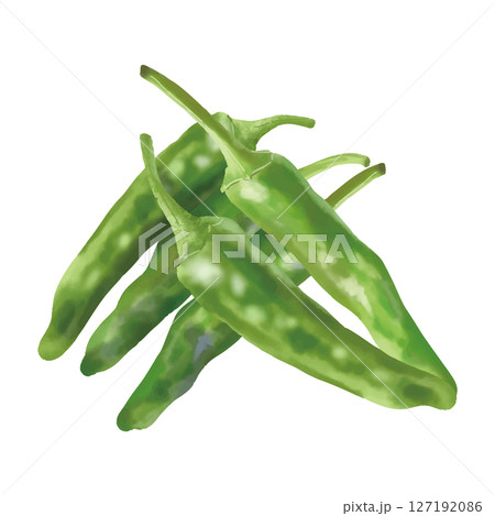 水彩風　新鮮なししとう　日本の野菜 127192086