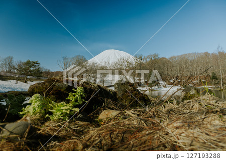 北海道京極-ふきだし公園と羊蹄山-02 北海道京極-ふきだし公園と羊蹄山-02 127193288