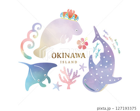 沖縄の生き物のイラスト 127193375