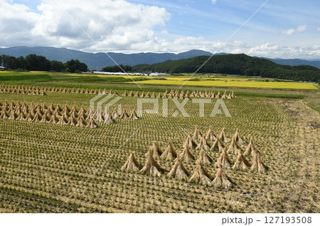 里山とわらぼっち 里山とわらぼっち 127193508