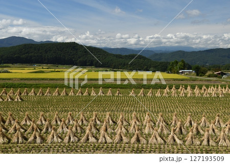 里山とわらぼっち 127193509