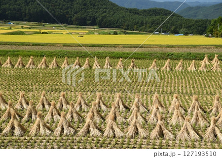 里山とわらぼっち 127193510