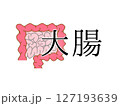 大腸 127193639