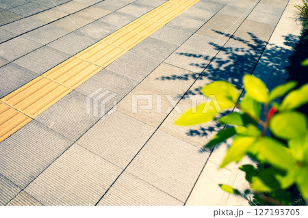点字ブロックのある歩道と沿道の植物　前ボケ　暖色寒色強調 127193705