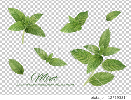 留蘭香水彩插圖集 留蘭香水彩插圖集 127193814