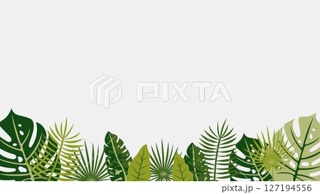 Tropical green jungle leaves border. Exotic summer foliage frame with palm, monstera, and fern leaves. Nature botanical illustration for banners, flyers, cards, invitations. Tropical green jungle leaves border. Exotic summer foliage frame with palm, monstera, and fern leaves. Nature botanical illustration for banners, flyers, cards, invitations. 127194556