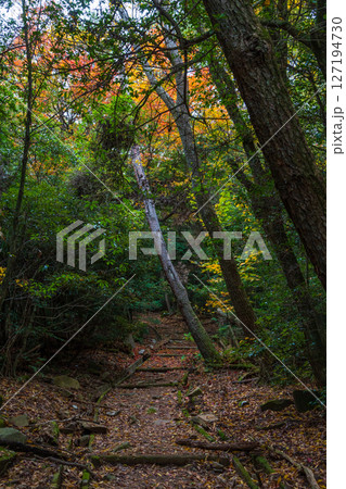 秋の小豆島　紅葉の寒霞渓　星ヶ城登山道 127194730