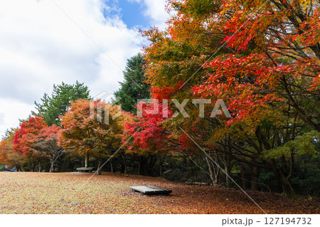 秋の小豆島 紅葉の寒霞渓 三笠山山頂 秋の小豆島 紅葉の寒霞渓 三笠山山頂 127194732