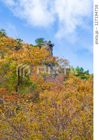 秋の小豆島 紅葉の寒霞渓 裏八景(鹿岩) 秋の小豆島 紅葉の寒霞渓 裏八景(鹿岩) 127194738