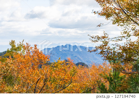 秋の小豆島 紅葉の寒霞渓 裏八景登山道 秋の小豆島 紅葉の寒霞渓 裏八景登山道 127194740