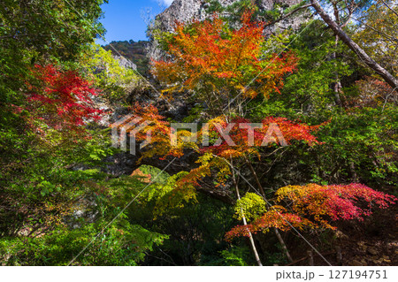 秋の小豆島　紅葉の寒霞渓　裏八景（石門） 127194751