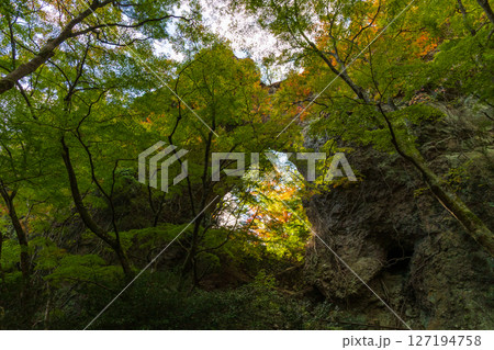 秋の小豆島　紅葉の寒霞渓　裏八景（石門） 127194758