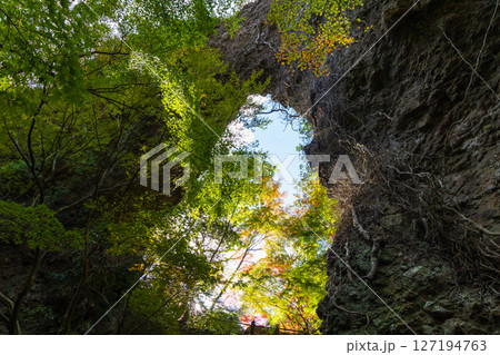 秋の小豆島 紅葉の寒霞渓 裏八景(石門) 秋の小豆島 紅葉の寒霞渓 裏八景(石門) 127194763
