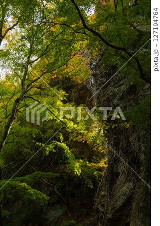秋の小豆島　紅葉の寒霞渓　裏八景（石門） 127194764