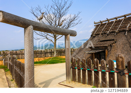 竪穴住居と鳥居 127194889