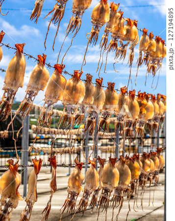 トビイカの天日干し トビイカの天日干し 127194895