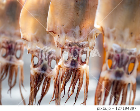 トビイカの天日干し 127194897