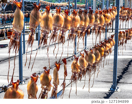 トビイカの天日干し トビイカの天日干し 127194899