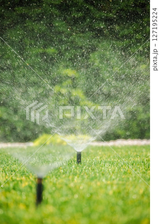 Automatic sprinkler head spraying water on a vibrant green lawn during sunny weather, used for regular garden irrigation Automatic sprinkler head spraying water on a vibrant green lawn during sunny weather, used for regular garden irrigation 127195224