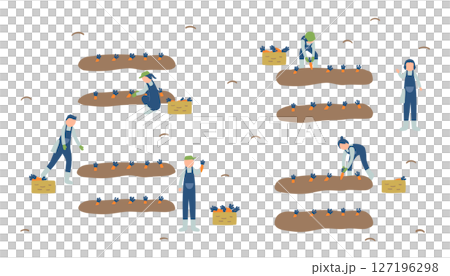 にんじん農家のイラスト 127196298