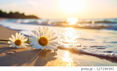 Beautiful flowers on the beach at sunset, reflecting the vibrant orange and blue sky over the calm sea 127196391