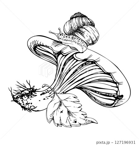 Russula cortinarius webcap mushroom, crawling snail on cap, fallen autumn leaf. Forest floor, backyard garden scene. Fungi natural illustration hand drawn in vector ink. Herbarium, foraging journals 127196931
