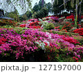 福岡で人気の糸島で1年に1度のツツジ祭を楽しむ 127197000