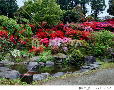福岡で人気の糸島で1年に1度のツツジ祭を楽しむ 福岡で人気の糸島で1年に1度のツツジ祭を楽しむ 127197002