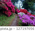 福岡で人気の糸島でツツジ園を散策 127197056