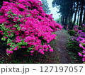 福岡で人気の糸島でツツジ園を散策 127197057