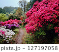 福岡で人気の糸島でツツジ園を散策 127197058