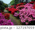 福岡で人気の糸島でツツジ園を散策 127197059