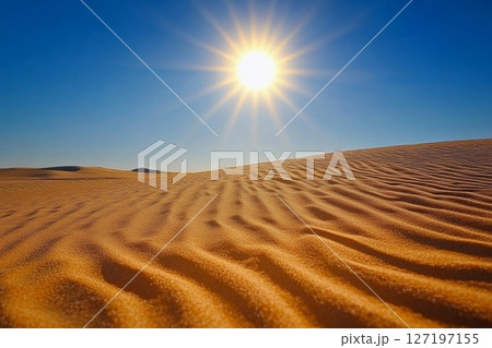 Radiance of the Desert Sun Illuminating Vast Golden Dunes at Midday. Generative AI 127197155