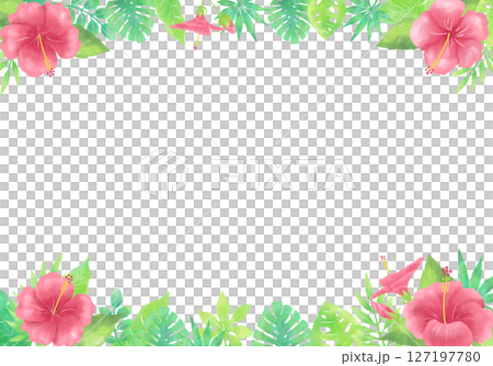 水彩風のハイビスカスのフレーム（横長・上下タイプ） 127197780