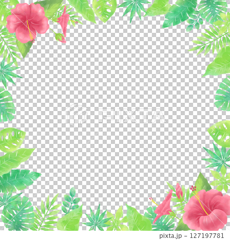 水彩風のハイビスカスのフレーム（正方形・囲みタイプ） 127197781