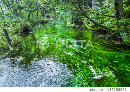 上高地を流れる清水川の風景【長野県・松本市】 上高地を流れる清水川の風景【長野県・松本市】 127198961