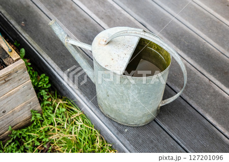 Decorative vintage metal watering can in the garden Decorative vintage metal watering can in the garden 127201096