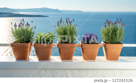 Potted herbs and lavender plants on balcony ledge overlooking ocean view. 127201526