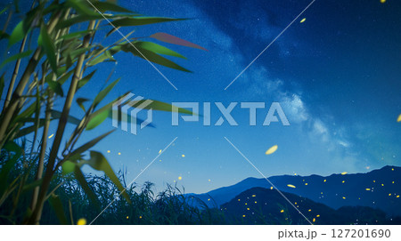 星降る竹林と天の川 星降る竹林と天の川 127201690