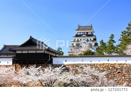 【広島県】桜咲く春の福山城（復興後）福山城桜まつり 127201772