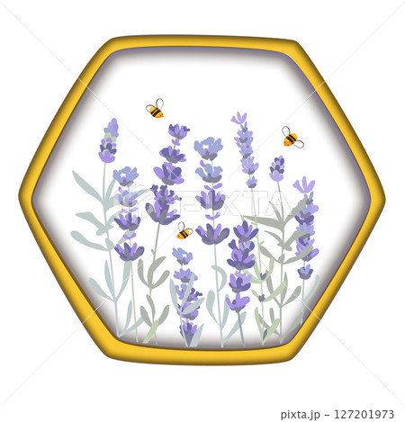 Lavender flowers and bees in a honey comb isolated composition. Beekeeping products packaging design element. Hand drawn vector illustration 127201973