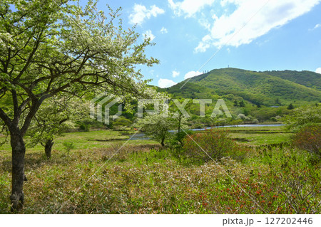 赤城山・覚満淵【群馬県】 赤城山・覚満淵【群馬県】 127202446