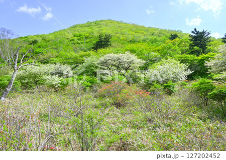 赤城山・覚満淵【群馬県】 赤城山・覚満淵【群馬県】 127202452