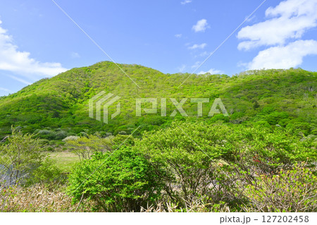 赤城山・覚満淵【群馬県】 赤城山・覚満淵【群馬県】 127202458